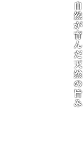 たかまつ食品株式会社